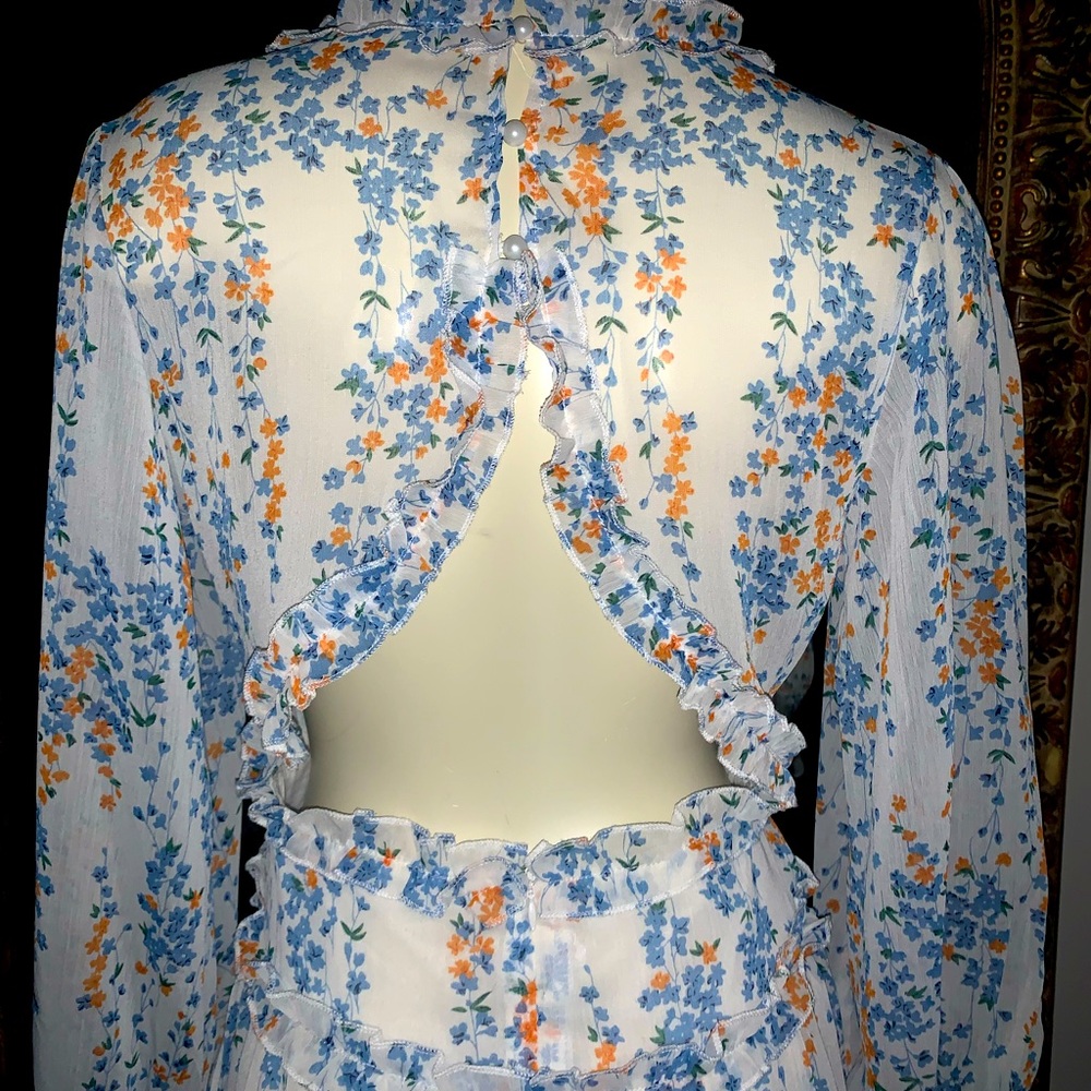 Gorgeous DITSY floral cutout back dress with the cutest details Small - Picture 5 of 10